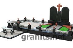 3D1_100
