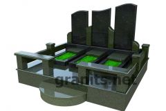 3D1_242