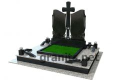 3D1_313