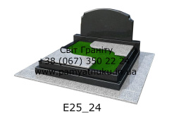 E25_24