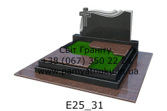 E25_31