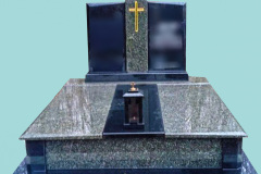 Ev11