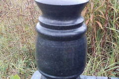 V_71